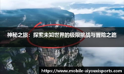 爱游戏公司