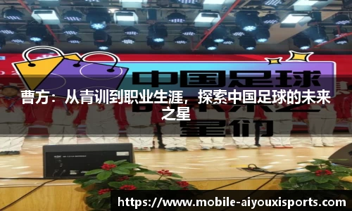爱游戏公司